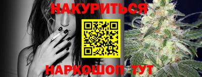 дмт Будённовск