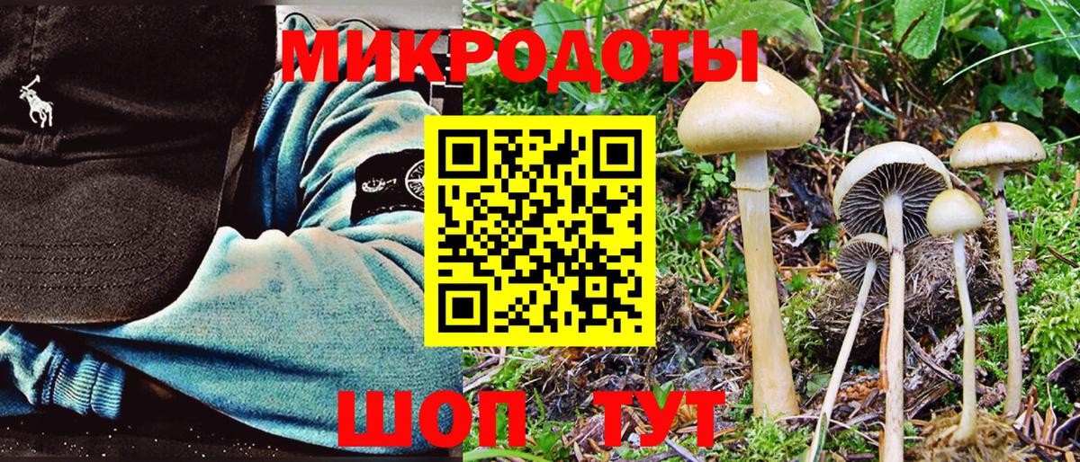 Псилоцибиновые грибы мухоморы Кубинка